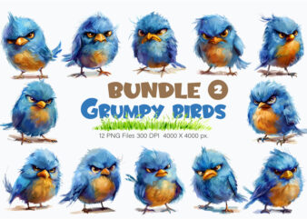 Grumpy cute birds 02. TShirt Sticker.
