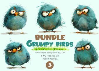 Grumpy cute birds 03. TShirt Sticker.