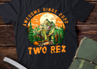 Kids Two Rex 2rd Birthday Shirt Third Dinosaur 2 Year Old T-Shirt ltsp