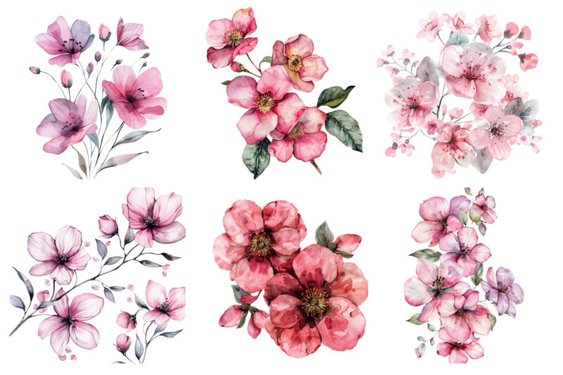 Pink Flowers Watercolor Clipart