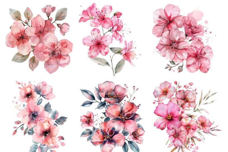 Pink Flowers Watercolor Clipart