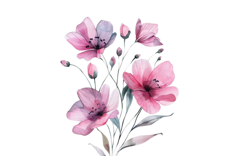 Pink Flowers Watercolor Clipart