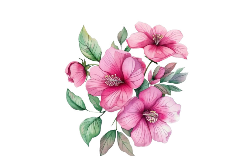 Pink Flowers Watercolor Clipart