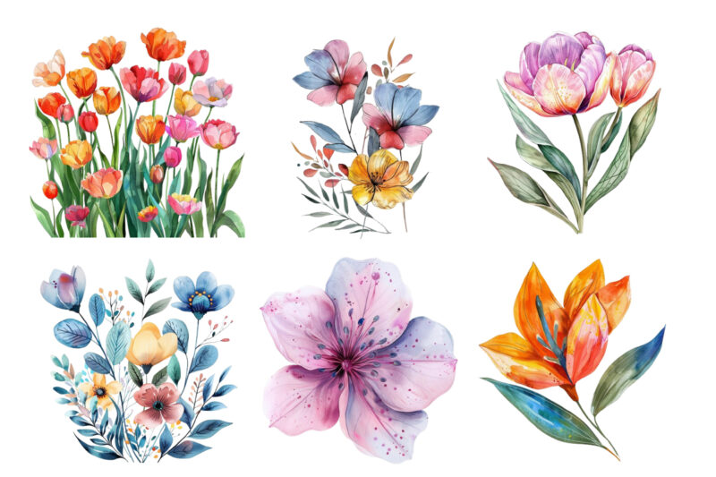 Spring Flower watercolor Clipart
