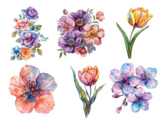 Spring Flower watercolor Clipart t shirt template vector
