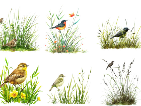 Spring grass with bird clipart t shirt template vector