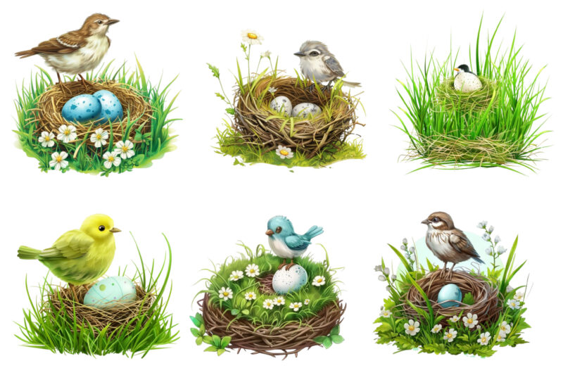 Spring Grass with cartoon bird clipart