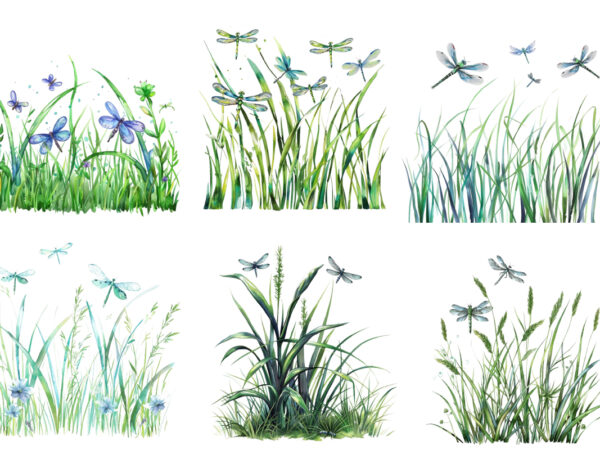 Spring grass with dragonflies clipart t shirt template vector