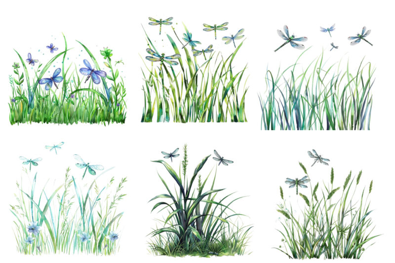 Spring Grass with dragonflies Clipart