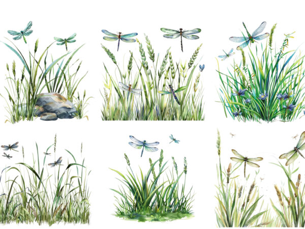 Spring grass with dragonflies clipart t shirt template vector