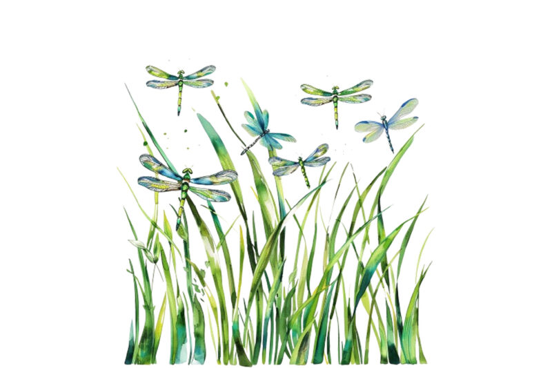 Spring Grass with dragonflies Clipart