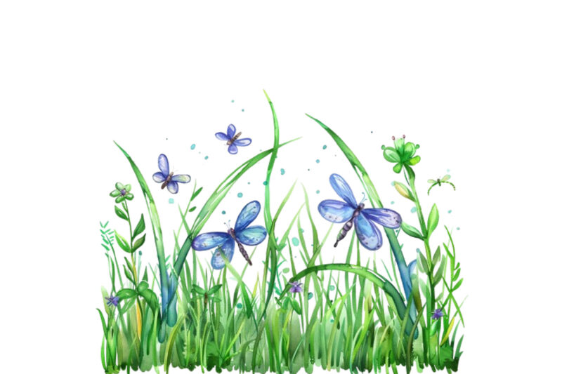 Spring Grass with dragonflies Clipart