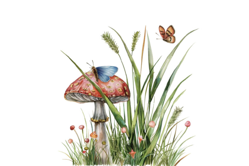 Spring Grass with mashroom and butterfly