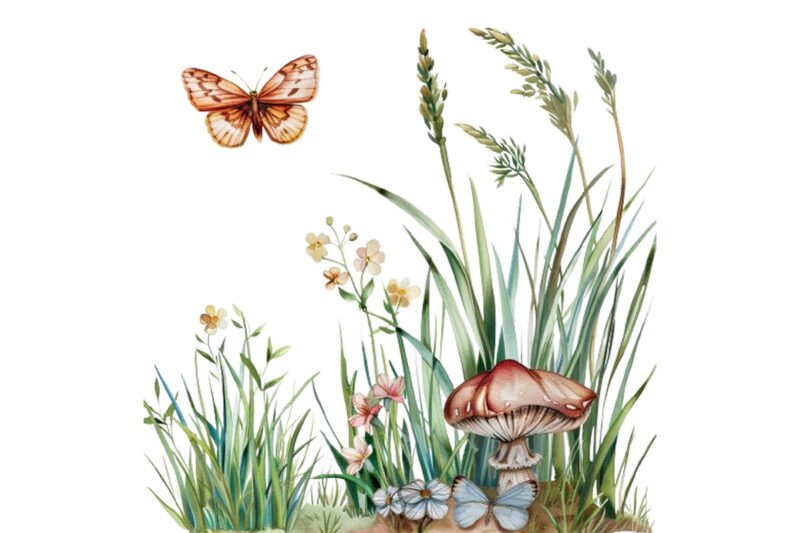 Spring Grass with mashroom and butterfly