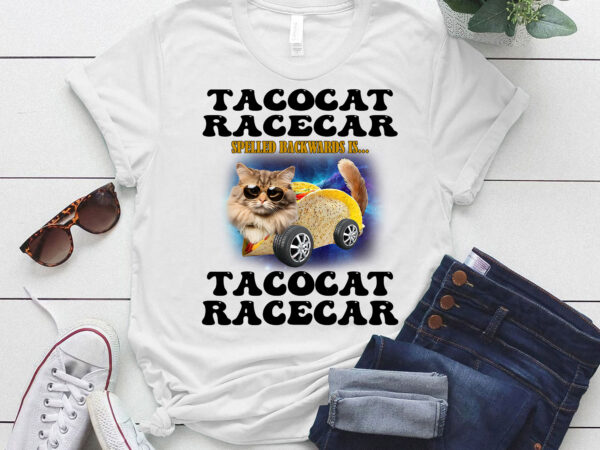 Tacocat racecar spelled backwards funny mexican car taco cat t-shirt ltsp