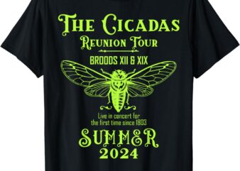 The Cicada Reunion Tour Broods XIX & XIII Summer 2024 Insect T-Shirt