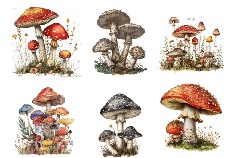 Vintage Mushroom Clipart