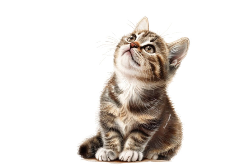 cute little cat clipart