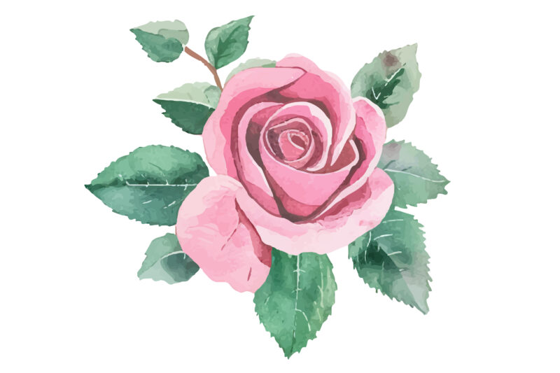 Watercolor Pink Rose Flower Bouquet