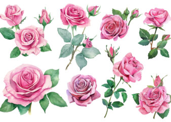 watercolor roses set, watercolor rose clipart, watercolor rose set, watercolor roses, vintage roses illustration, roses illustration, roses