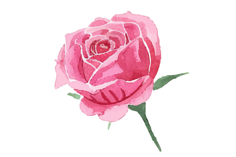 Watercolor Roses Flower Art