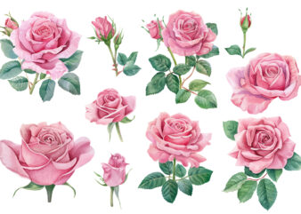 Watercolor pink rose flower bouquet