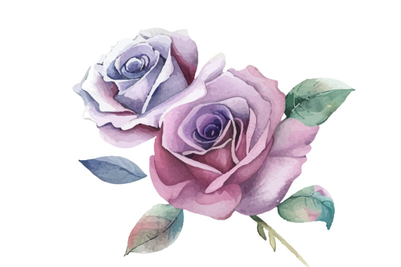 Watercolor Rose Flower Hand Painting