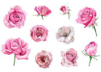 Watercolor Roses Flower Art