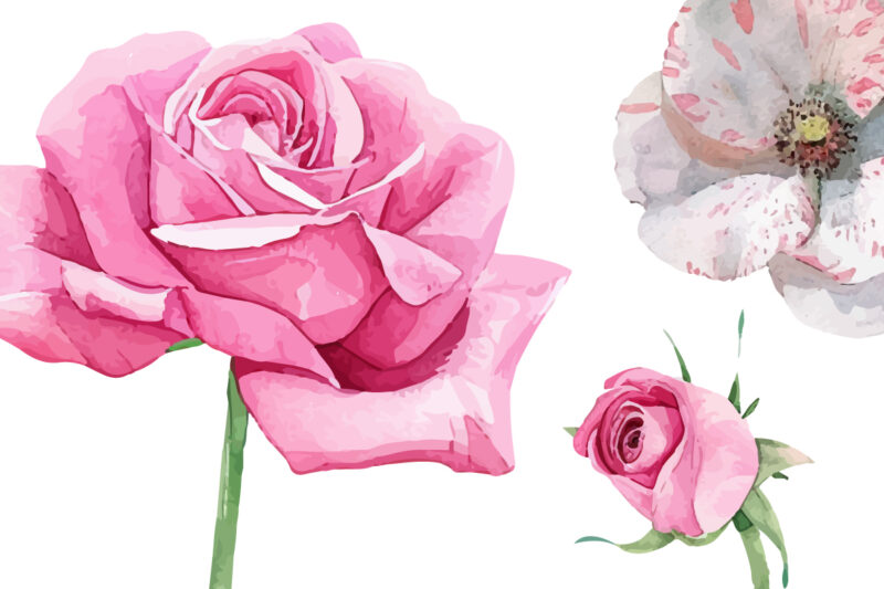 Watercolor Roses Flower Art