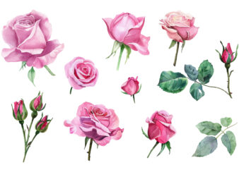 Watercolor Roses Flower