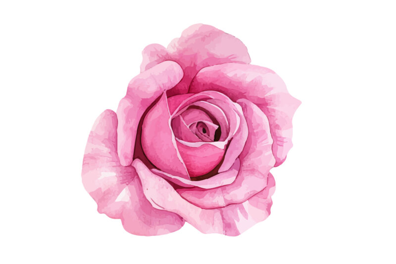 Watercolor Roses Flower Art