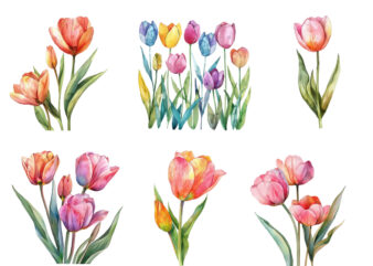 watercolor Spring Tulip clipart t shirt design for sale