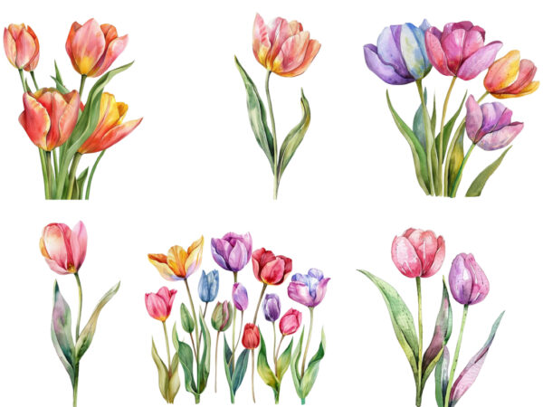 Watercolor spring tulip clipart t shirt design for sale