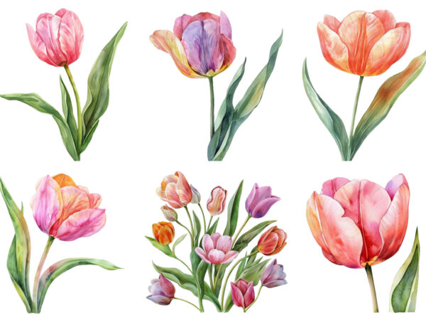 Watercolor spring tulip clipart t shirt design for sale