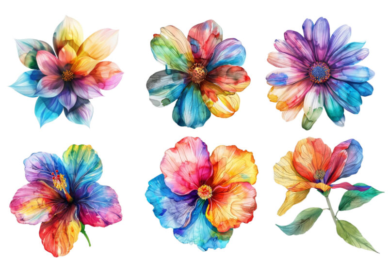 watercolour rainbow flower clipart