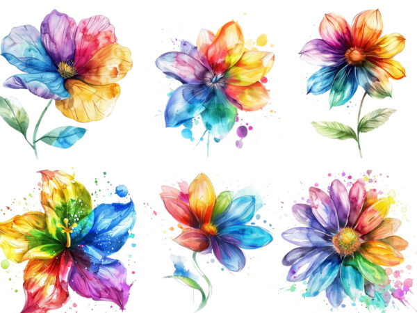 Watercolour rainbow flower clipart t shirt design for sale