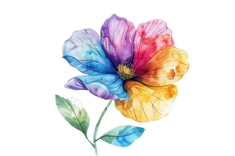 watercolour rainbow flower clipart