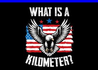 What Is A Kilometer PNG, 4th Of July Patriotic Eagle PNG, Eagle 4TH Of July PNG t shirt design for sale