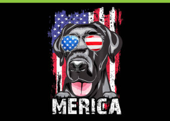 Black Labrador Retriever 4th Of July PNG, Black Labrador Retriever Merica USA Flag PNG