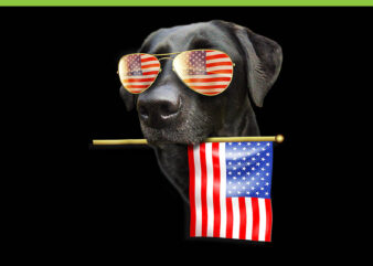 4th of July Labrador Dog PNG, Labrador Dog American Flag PNG