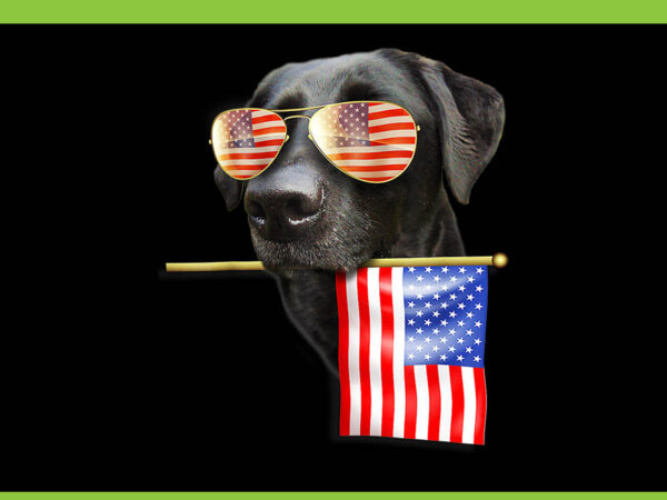 4th of july labrador dog png, labrador dog american flag png