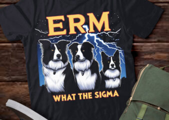 LT-P2 Funny Erm The Sigma Ironic Meme Quote Border Collies Dog