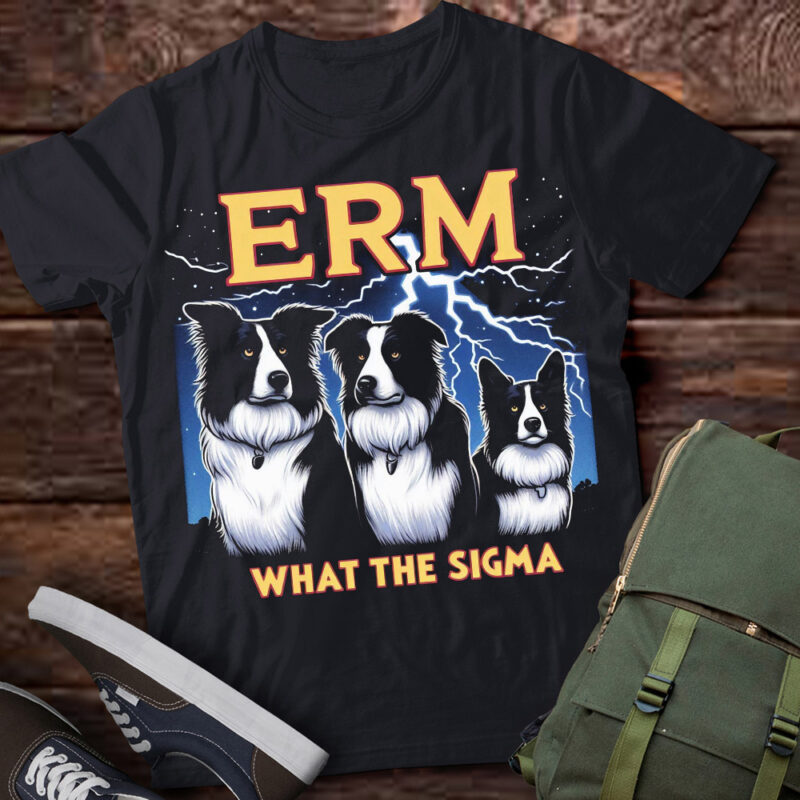 LT-P2 Funny Erm The Sigma Ironic Meme Quote Border Collies Dog