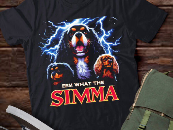 Lt-p2 funny erm the sigma ironic meme quote cavalier king charles spaniels dog t shirt vector graphic