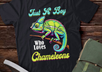 Chameleon Just A Boy Who Loves Chameleons T-Shirt ltsp