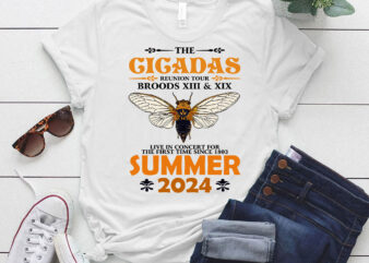 Cicada 2024, Cicada Concert Tour 2024, Year of the Cicadas, Funny Cicada, Insect Lover, Bug Lover Gift LTSD t shirt vector file