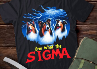 LT-P2 Funny Erm The Sigma Ironic Meme Quote Collies Dog
