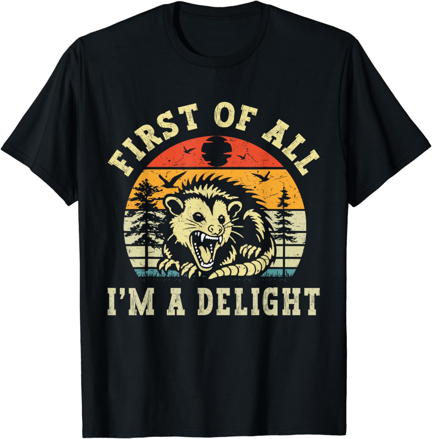 First Of All I Am A Delight Vintage Sarcastic Angry Opossum T-Shirt ...