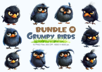 Grumpy cute birds 04. TShirt Sticker.
