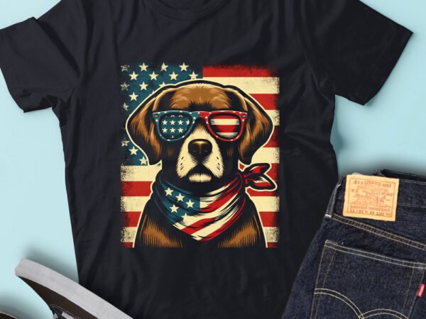 Lt146 chesapeake bay retriever dog usa flag chessie dog gift t shirt vector graphic